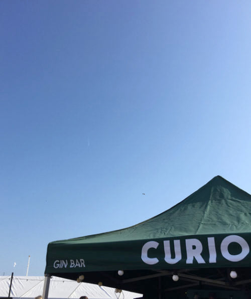 Curio Gin Porthleven Food Festival